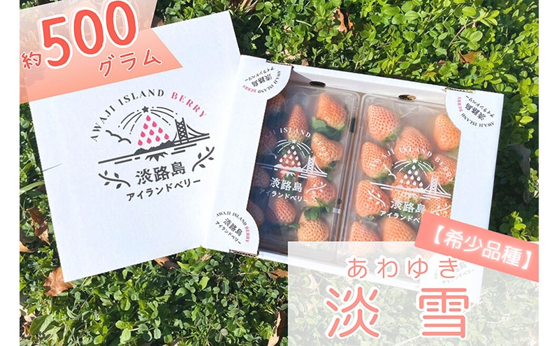 
                  希少品種 白いちご淡雪 500g 完熟いちご 淡路島産 採れたて 旬のフルーツ 旬の果物 いちご 白いちご 苺 イチゴ 淡雪 季節のフルーツ 季節の果物 洲本市 [№5395-0169]
                