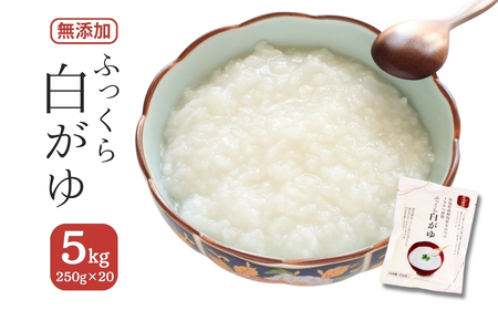 ふっくら白がゆ 250g×20パック 無添加 国産100% | お粥 レトルト 天のつぶ