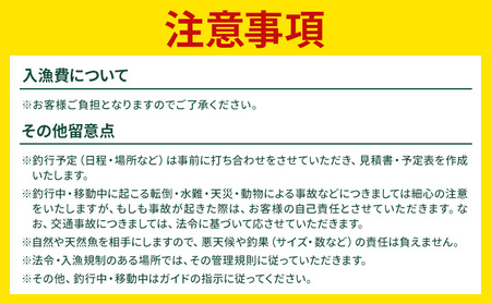 阿部ガイド フライフィッシング ツアーガイド チケット 《30日以内に出荷予定(土日祝除く)》 地域おこし協力隊　地域起こし協力隊 2名様 体験 釣り 券 WILDLIFE 川釣り 魚 遊び ガイド 
