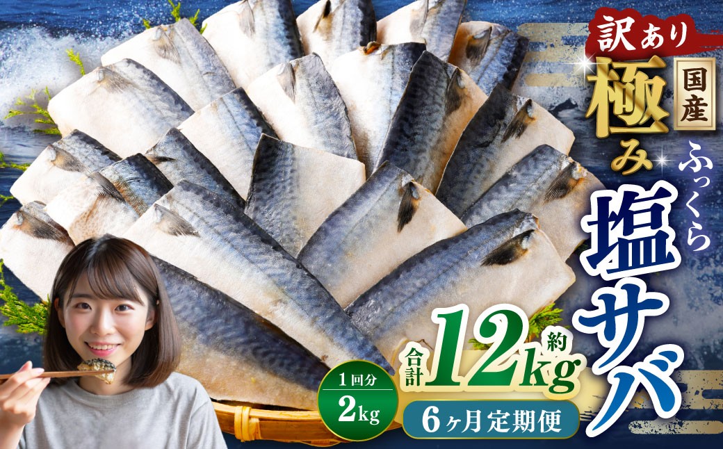 
            【6ヶ月定期便】【訳あり】国産 ふっくら 極み塩サバ 計約2kg ／ 1切れ 塩サバ 塩さば 塩鯖 さば サバ 鯖 魚
          