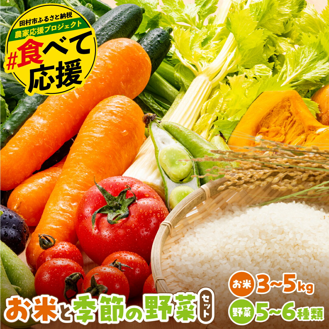 【ふるさと納税】お米と季節の野菜セット 米 ひとめぼれ 3～5kg 野菜 5～6種類 採れたて 新鮮 農家直送 国産 ギフト 福島県 田村市 川向生産組合