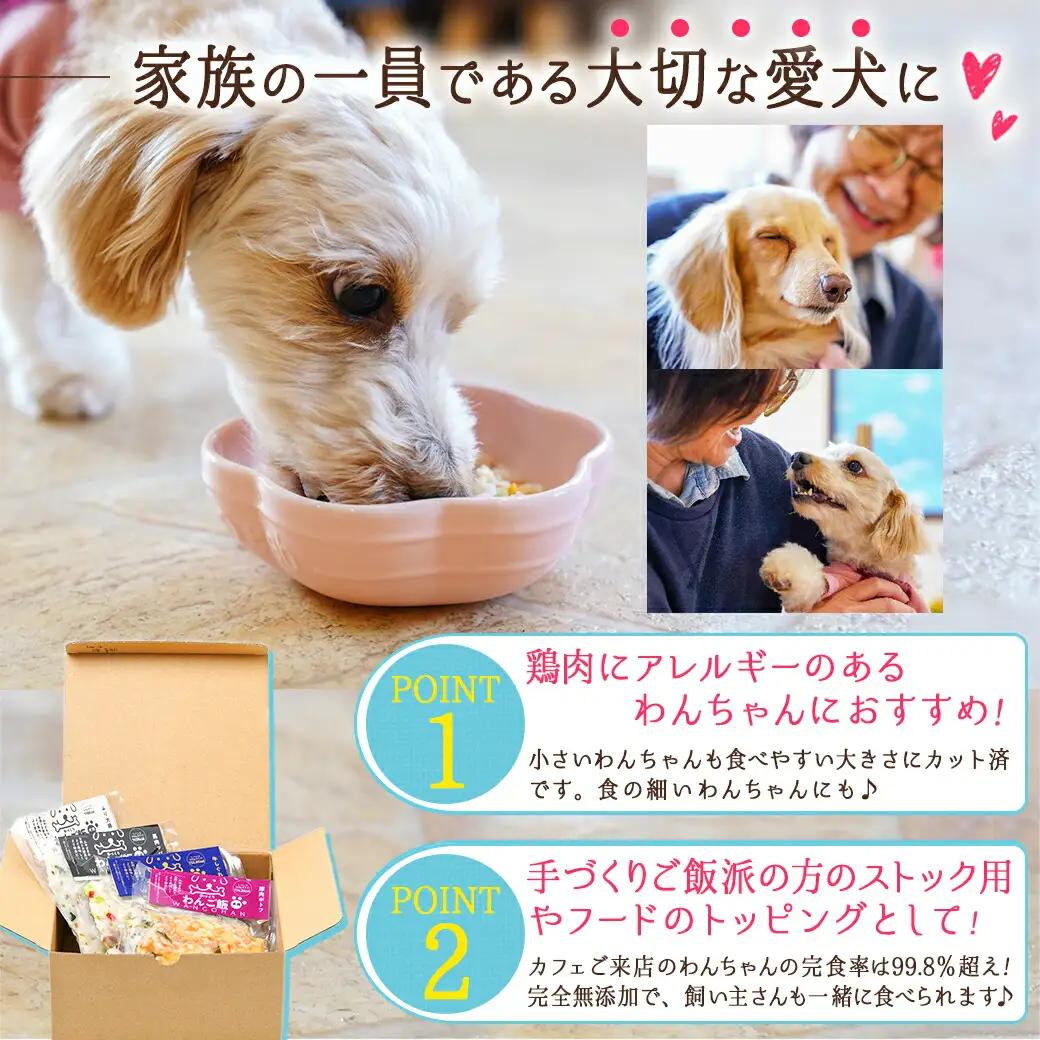 手づくり☆わんご飯『うまうまセット』_12-J501_(都城市) 犬用 手づくりご飯 ぶり大根 馬肉ッパ 牛しぐれ 豚肉ポトフ ドッグフード ペットフード