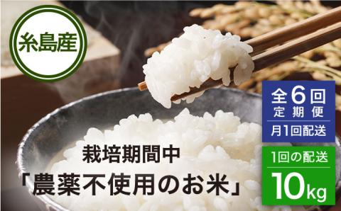 【全6回(月1回)定期便】栽培期間中 農薬不使用 ヒノヒカリ 10kg 糸島市/シーブ [AHC045] 米 定期便