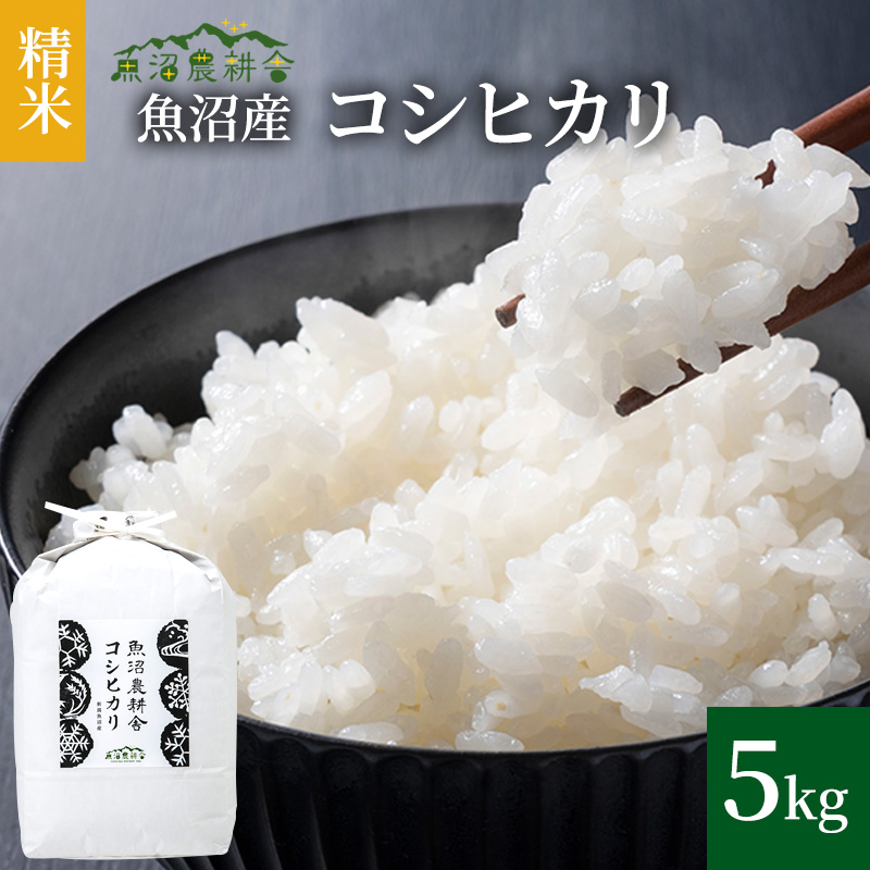 【令和7年産 新米先行受付】米農家自慢の 魚沼産 コシヒカリ （精米）5kg×1袋 お米 ライス ご飯 主食 新潟県産 産地直送 おにぎり お弁当
