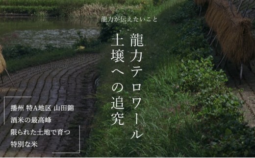 日本酒 特別純米 龍力 姫路城 クリアケース入り 720ml 四合瓶 本田商店 地酒 清酒 お酒 ギフト プレゼント お歳暮 家飲み 晩酌 兵庫県 姫路市