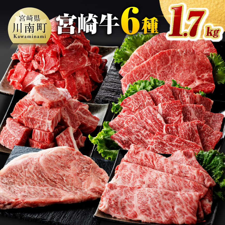 宮崎牛6種 詰め合わせ1.7kg　牛肉[D0613]