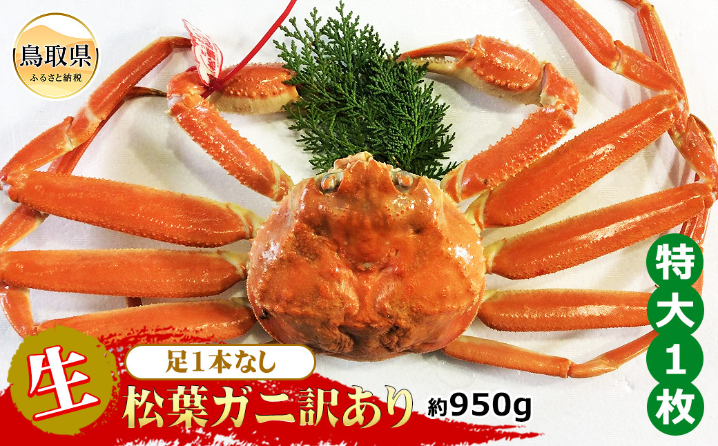 
                  【魚倉】足1本なし生松葉ガニ訳あり　特大　約950g【期間限定】_T2600165 鳥取県 おすすめ 生松葉 かに がに ガニ 蟹 松葉ガニ
                