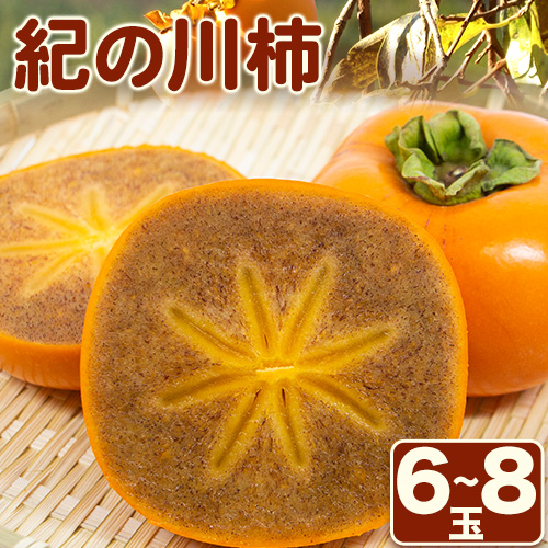 紀の川柿 6-8玉入 約1.8kg ときわオンライン《2026年10月上旬-12月中旬頃出荷》和歌山県 紀の川市 平核無柿 ひらたねなしがき