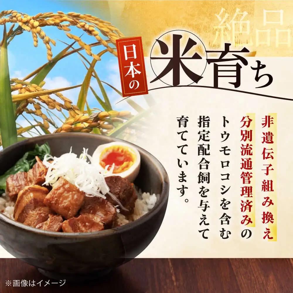  ロース ブロック 600g ロースブロック AJAP070