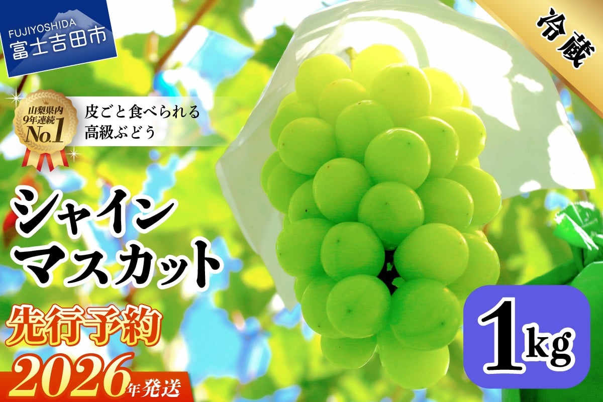 
                  【チョイス限定】【2026年先行予約】山梨県産 シャインマスカット約1㎏（2～3房）　 シャインマスカット ぶどう シャイン 山梨県産 フルーツ 果物 産地直送 数量限定 山梨 富士吉田市
                