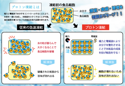 【訳アリ】養殖本マグロ 赤身･中トロ 450g 黒潮本まぐろ 不定貫 刺身用 小分け 海鮮 産地直送