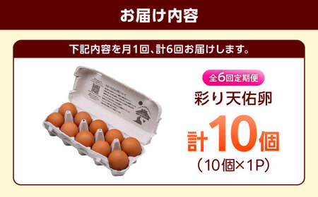 【6回定期便】彩り天佑卵 10個入り[AIDL008] 卵