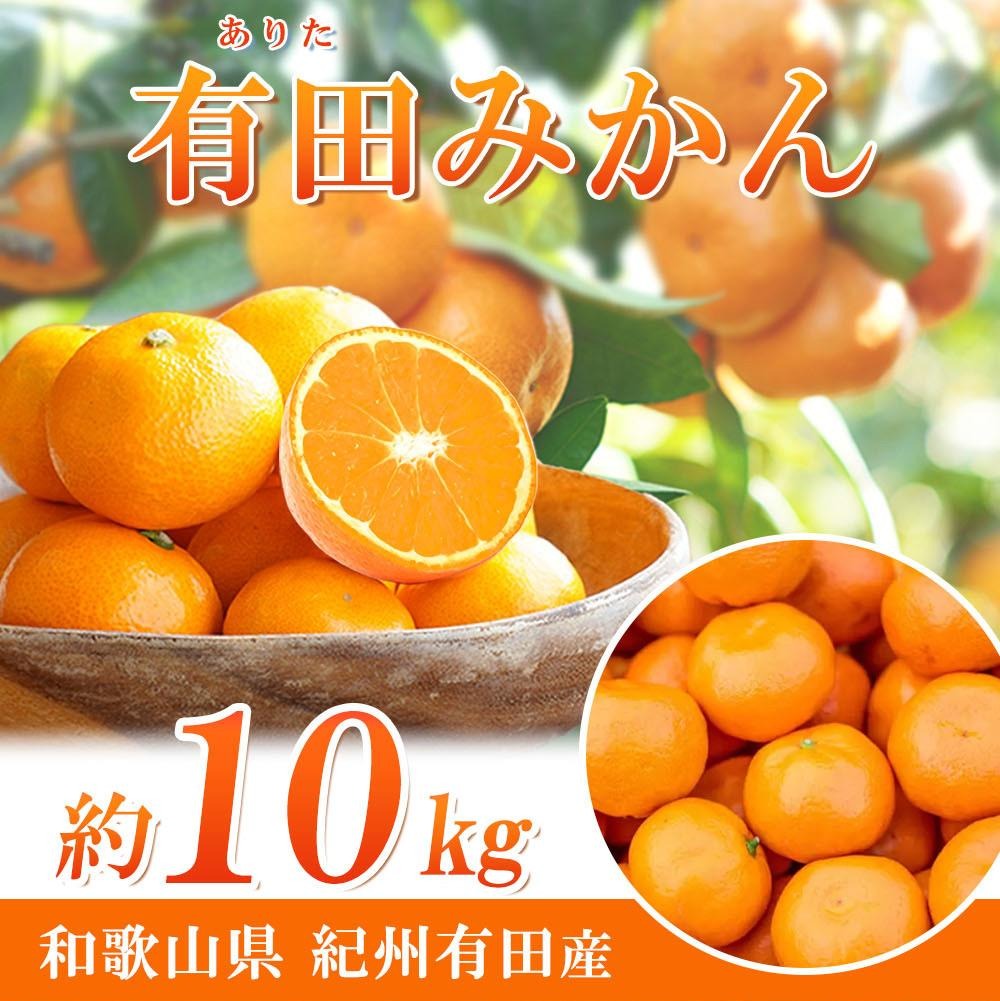 完熟有田みかん　10kg［2026年11月下旬以降発送］［先行予約］［UT11w］AN002