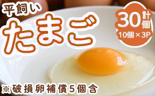 ＜数量限定＞香川県産 平飼いたまご (計30個・10個×3パック) 国産 たまご 卵 鶏卵 産地直送 ビタミン【man120】【翔洋舎】