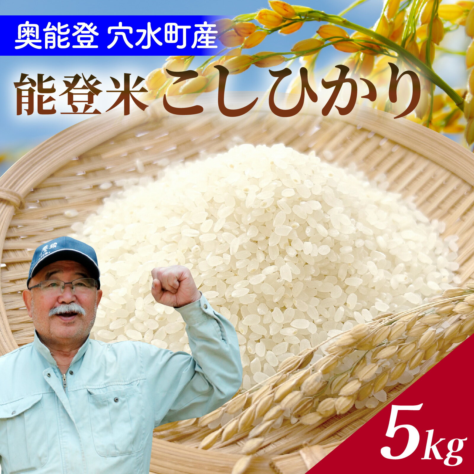 【ふるさと納税】【令和7年産 先行予約】奥能登 穴水産 こしひかり 5kg【2025年10月以降順次発送】/ 新米 5kg 無洗米 減農薬 令和7年産 奥能登 能登半島 コシヒカリ 白米 こめ コメ 送料無料