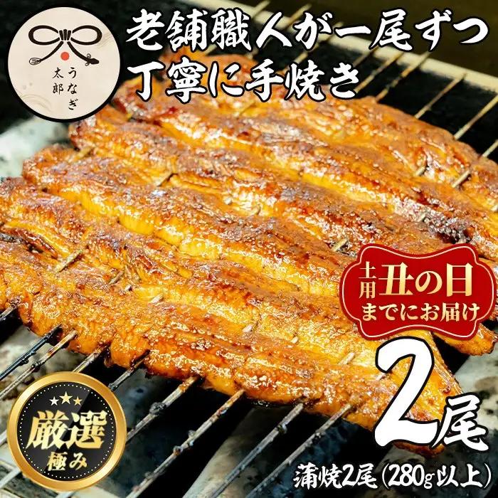 【0263708a-2607】＜丑の日までにお届け！＞鹿児島県産東串良町のうなぎ蒲焼・秘伝のタレ付き(2尾・計280g以上) うなぎ 高級 ウナギ 鰻 国産 蒲焼 蒲焼き たれ 鹿児島 うな重 うな丼 土用の丑の日 【うなぎ太郎】