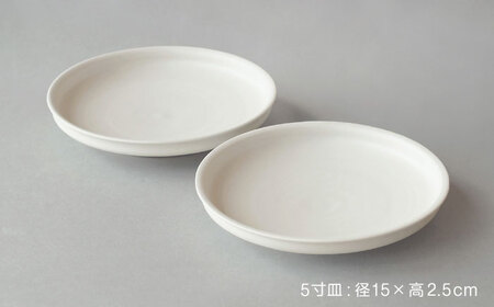 【波佐見焼】KINU 5寸皿 2点セット（艶なし）【studio wani】[MB78]