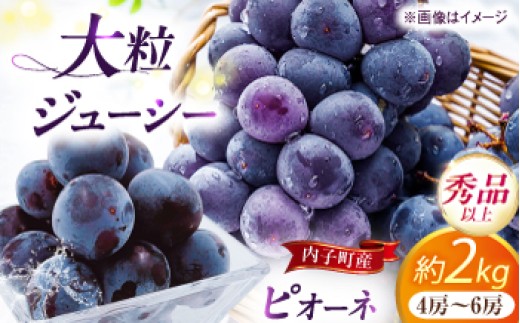 
                  ぶどう 【先行予約】ピオーネ 秀品 4～6房 2kg ＜2025年8月下旬から発送＞【北海道・沖縄配送不可】 ／ ブドウ 美味しい ぶどう ピオーネ 大人気 葡萄 愛媛県 新鮮 旬 フルーツ 果物 食品 新鮮ぴおーね 大粒 甘い 産地直送 愛媛 内子町 国産 ふるさと納税 お取り寄せ ギフト 四国 【株式会社フジ・アグリフーズ】 [BKAY010]
                