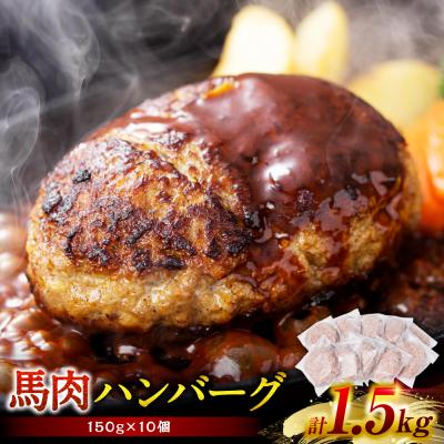 ふるさと納税 八代市 馬肉ハンバーグ 150g×10個 _289-6740