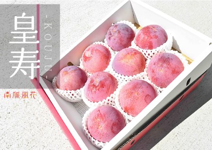 【2026年発送先行予約】高級スモモ【皇寿】1.8kg 相当　 ALPAJ017