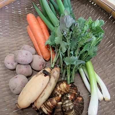 ふるさと納税 木津川市 【京都産】自然体な野菜セット