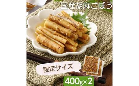 国産 胡麻ごぼう 甘辛煮800g（400g×2パック） F20C-893