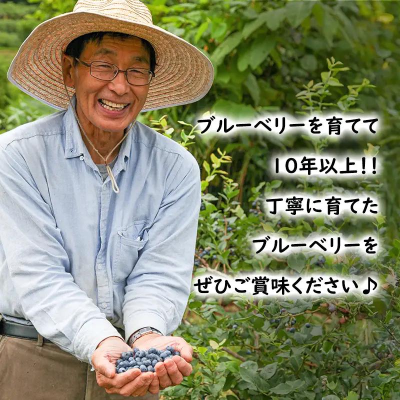 【2025年夏配送】生 ブルーベリー 計800g (400g×2パック)