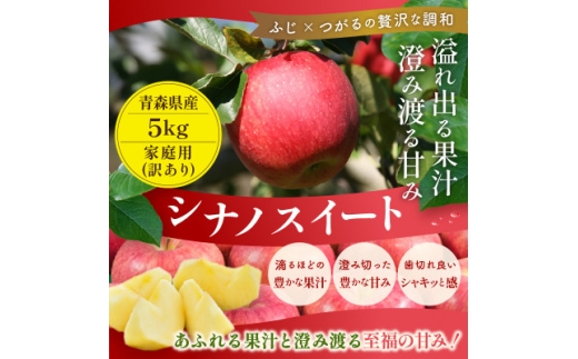 【26年10月より順次発送】青森県産りんご シナノスイート 約5kg 訳あり 平均糖度13度以上!【1612868】