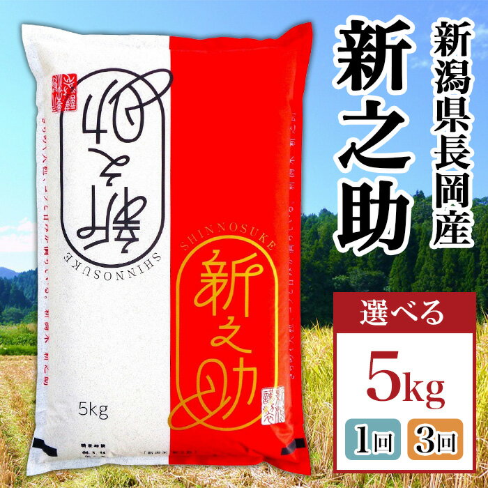 【ふるさと納税】新之助 5kg 定期便 3回 3ヶ月 令和7年産 米 新潟県 長岡市産 精米 白米 お米（株式会社コバヤシ）
