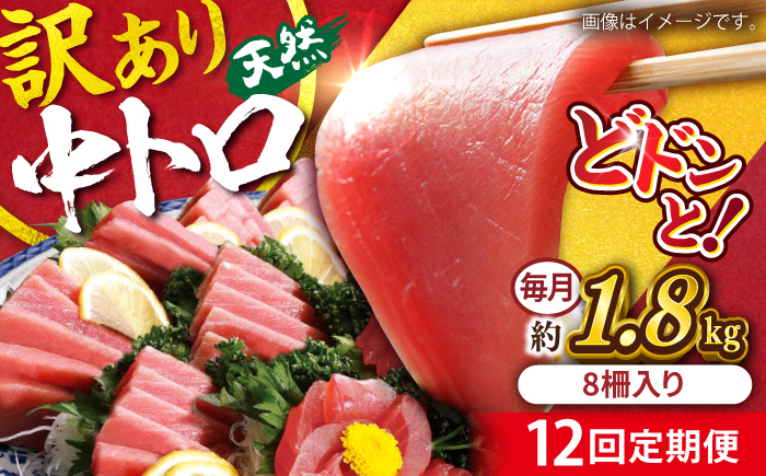 
            【全12回定期便】【訳あり】天然 まぐろ 中トロ メバチ 計約1.8kg (8柵入り) マグロ 定期 鮪 まぐろ 中とろ 刺身  定期便【横須賀商工会議所 おもてなしギフト事務局（本まぐろ直売所 横須賀本店）】 [AKAK055]
          