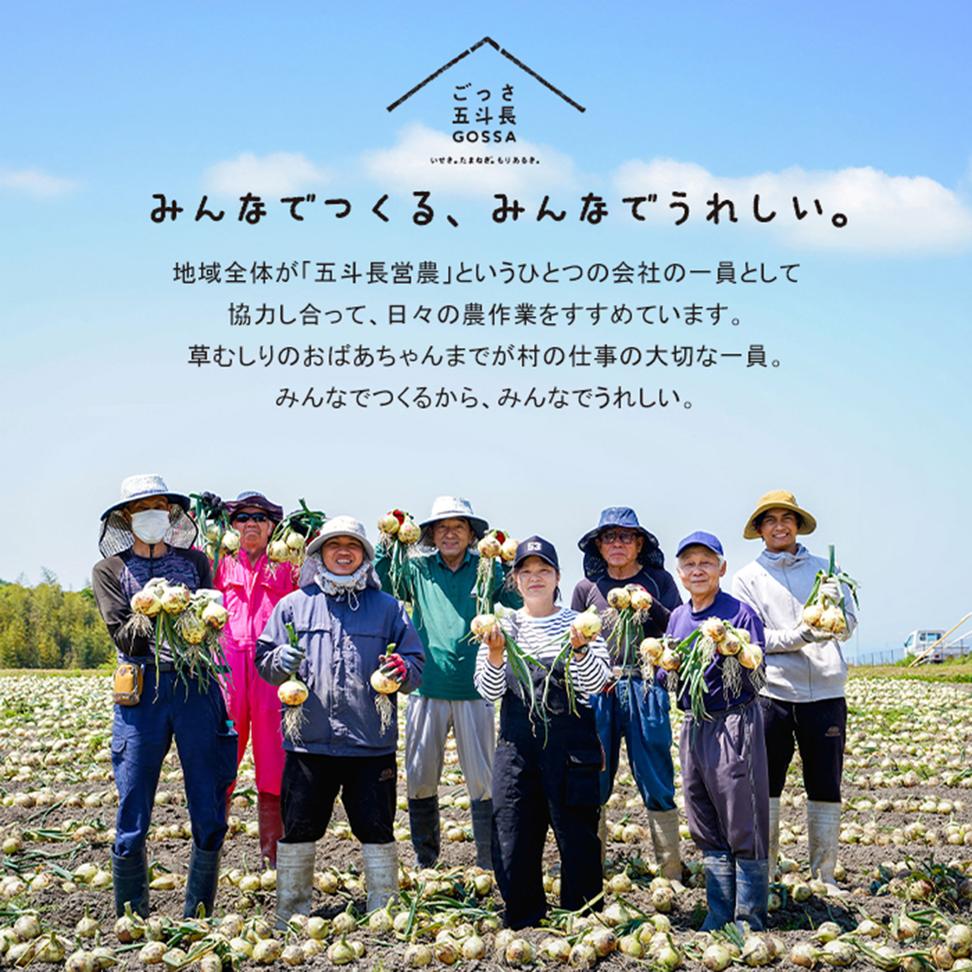 五斗長たまねぎ 5kg　　[玉ねぎ 玉葱 タマネギ 玉ねぎ 淡路