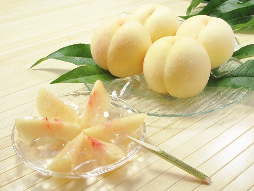 【先行予約】岡山県産　岡山白桃５～７玉②（約1.5㎏）