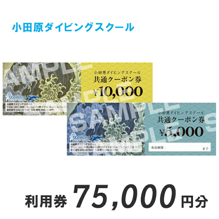 小田原ダイビングスクール共通クーポン券 75,000円分【 神奈川県 小田原市 】