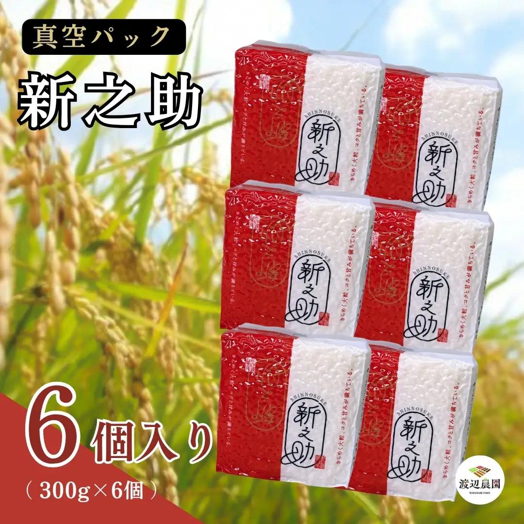 新之助 真空パック 300g×6個 精米 渡辺農園 | 新潟県 五泉市 新之助