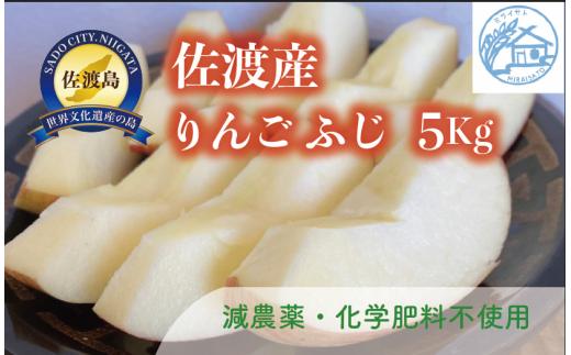 【令和8年産】佐渡産りんご「ふじ」5kg（13～18玉）ミライサト | 新潟県産りんご 新潟産りんご 佐渡産りんご 佐渡島産りんご ふじ フジ りんご リンゴ 林檎 アップル フルーツ 果物 くだもの にいがた さど 新潟県 佐渡市