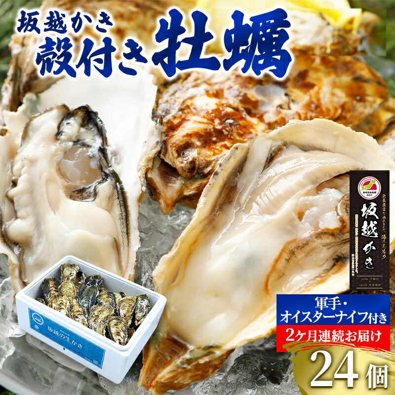 【ふるさと納税】 定期便 牡蠣 坂越かき 殻付き牡蠣 24個 オイスターナイフ付き【2ヵ月連続お届け】[ 生牡蠣 かき カキ 殻付 生食 冬牡蠣 ] 魚貝類 　お届け：2026年1月中旬～2026年3月中旬