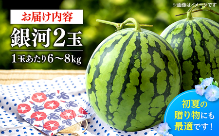 銀河2玉 （1玉当たり6から8kg） ＜武藤農園＞[CFV008]