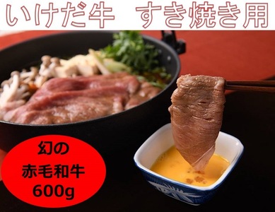 【北海道】受賞歴あり！「いけだ牛」すき焼600g　すき焼　牛肉　牛すき焼き　希少牛