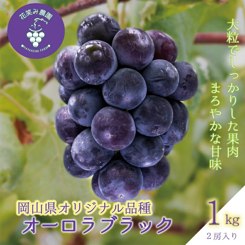 【ふるさと納税】 花笑み農園　岡山のブドウ 『オーロラブラック』1kg(2房)A-1 hana30【2025年9月上旬～順次発送】【配送不可地域：離島】真庭 国産 産地直送 フルーツ 葡萄 ぶどう 果物 贈答 ギフト 大粒 食べやすい 種なし 甘い 先行予約 おすすめ 人気 【1394011】