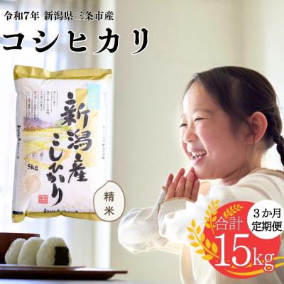 ふるさと納税 三条市 [定期便] 三条市産コシヒカリ 5kg 3か月 精米 令和7年産 【020S013】