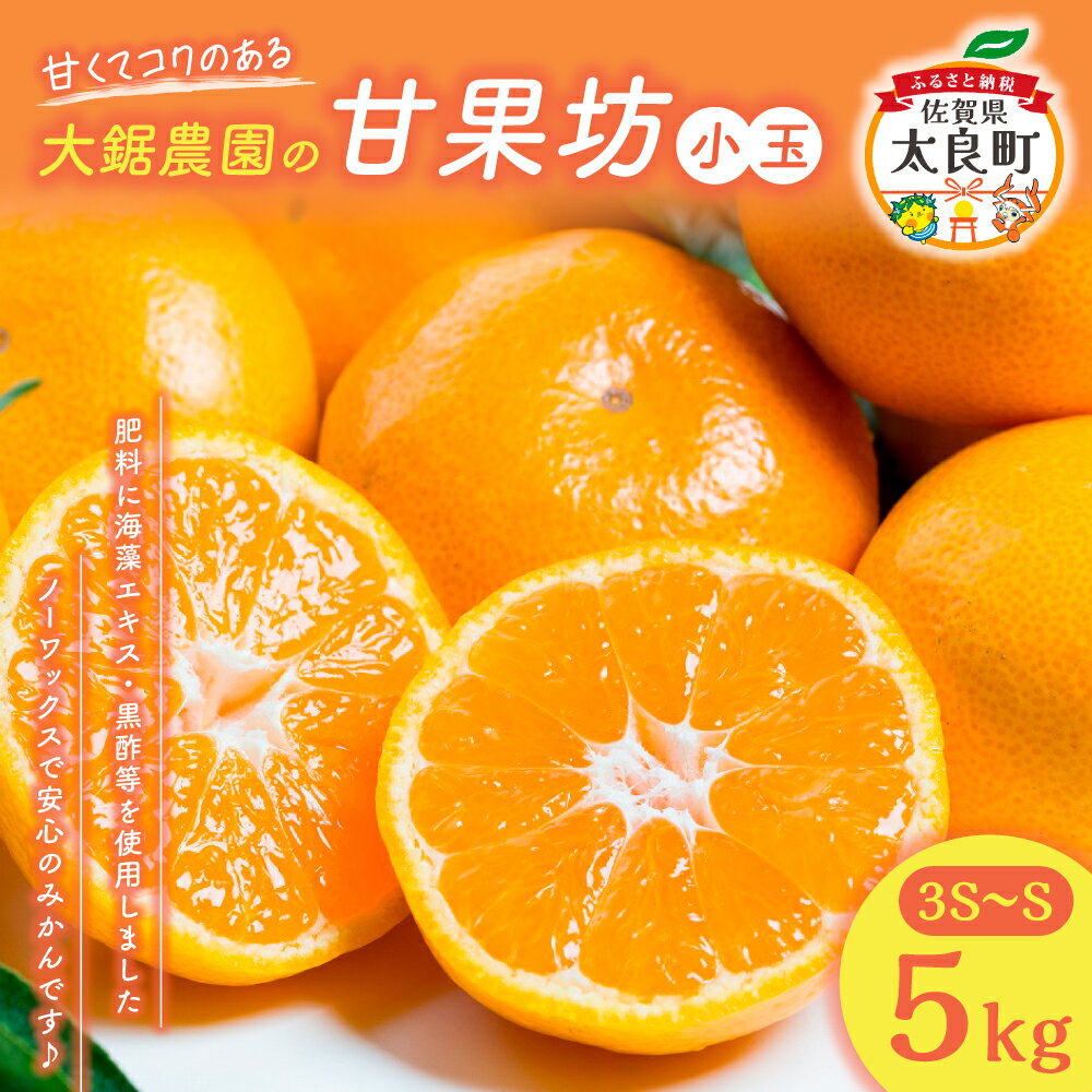 【ふるさと納税】みかん 大鋸農園 甘果坊（小玉）5kg | 佐賀県 太良町 みかん ミカン 蜜柑 早生 極早生 小玉 ふるさと納税 5kg 佐賀県 太良町 有明海 柑橘 甘い sサイズ 黒酢 果物 フルーツ LB-8