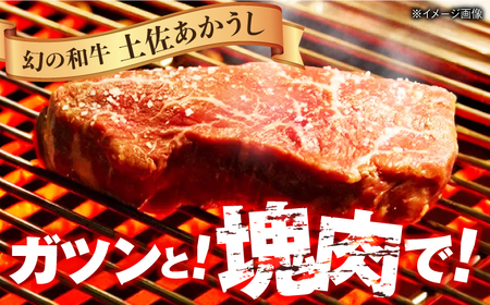 土佐あかうし 塊肉ステーキ 約500g（サーロイン）【株式会社Dorago】[ATAM045]