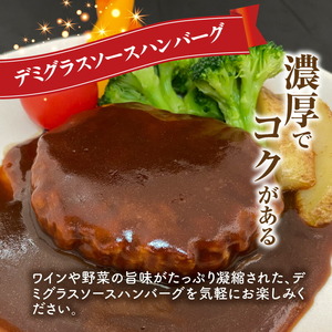 ハンバーグ食べ比べ4種20個セット（デミグラス・トマト・カレー・カルボナーラ） KP9506