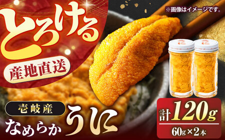 壱岐産 生うに 120g（60g×2本） [JEH001]