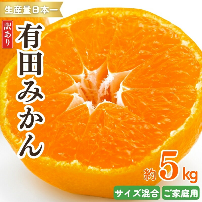 【ふるさと納税】 紀州 有田みかん 訳あり 約5kg ご家庭用 サイズ混合 温州みかん ミカン 蜜柑 柑橘 フルーツ ※2025年11月下旬～2026年1月中旬頃順次発送予定 ※北海道・沖縄・離島配送不可