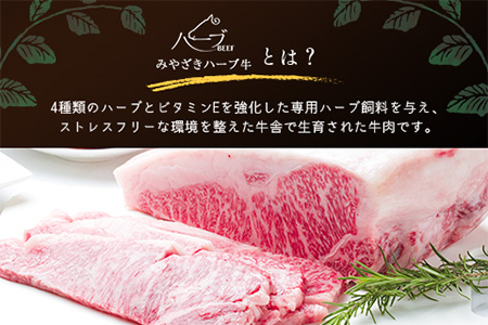 小分けで便利＜宮崎ハーブ牛＞ホルモン 小腸（200g×4パック）【B577】