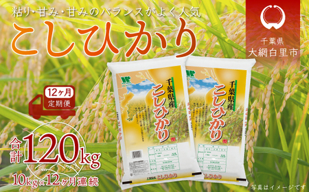 ＜12ヶ月定期便＞千葉県産「コシヒカリ」10kg×12ヶ月連続 計120kg A034