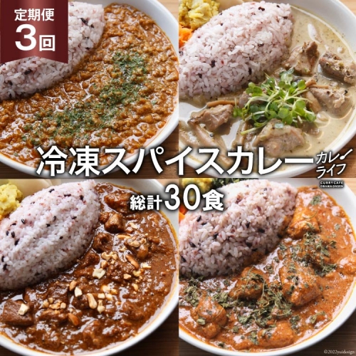 【3回定期便】冷凍 スパイスカレー 4種10食×3回 総計30食 [カレーライフ 長崎県 雲仙市 item0895] カレー キーマ グリーン チキン ポーク 詰め合わせ 食べ比べ 定期便