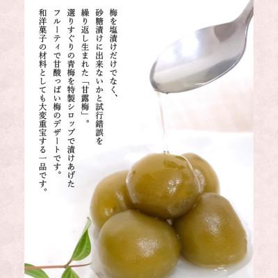 ふるさと納税 田辺市 甘露梅 450g( 紀州南高梅 使用)【kmr020】 |  | 02