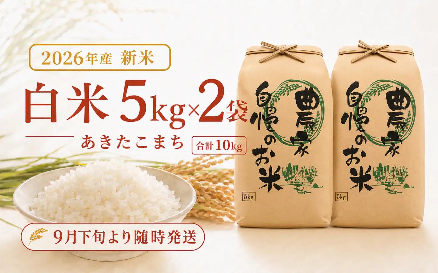 限定100件【新米・先行予約】あきたこまち10kg 信濃町産 令和8年 精米 2026年9月下旬発送予定 黒姫山麓 霧下 米 長野県信濃町